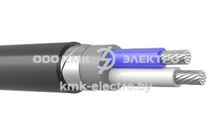 Кабель АВБбШв 2×25